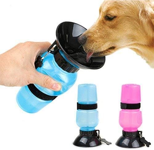 BOTELLA PARA PERRO - 🐾 Termo de agua para perro 🐾